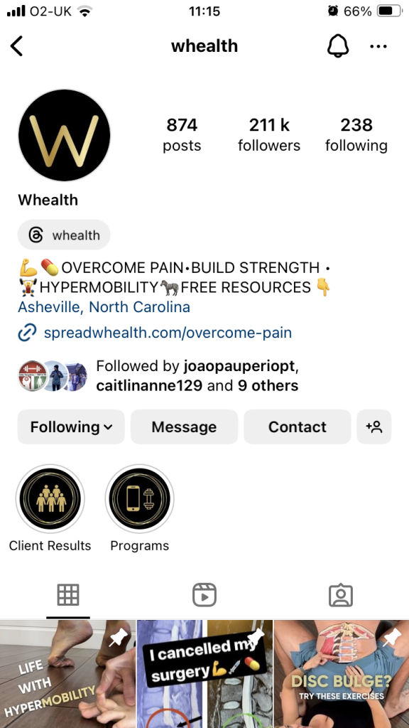 Whealth Instagram Profile